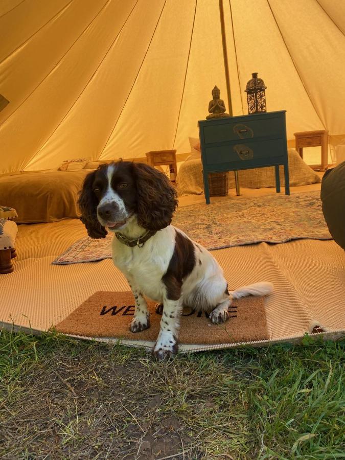 Sedlescombe Swallows Oast Glamping מראה חיצוני תמונה