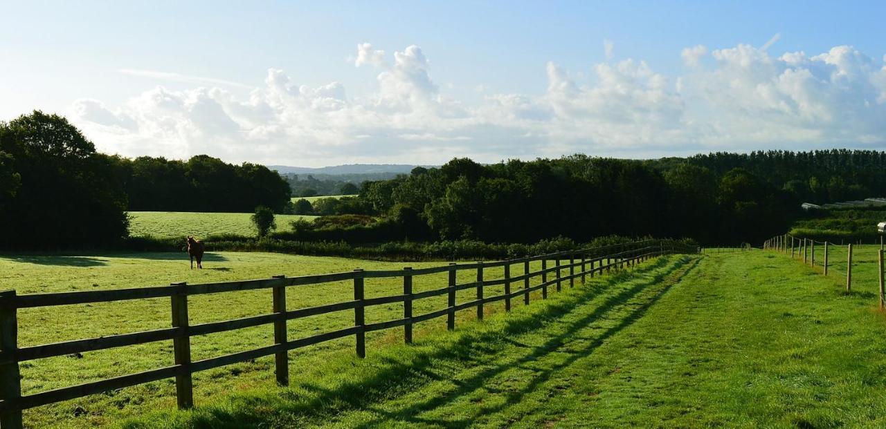 Sedlescombe Swallows Oast Glamping מראה חיצוני תמונה