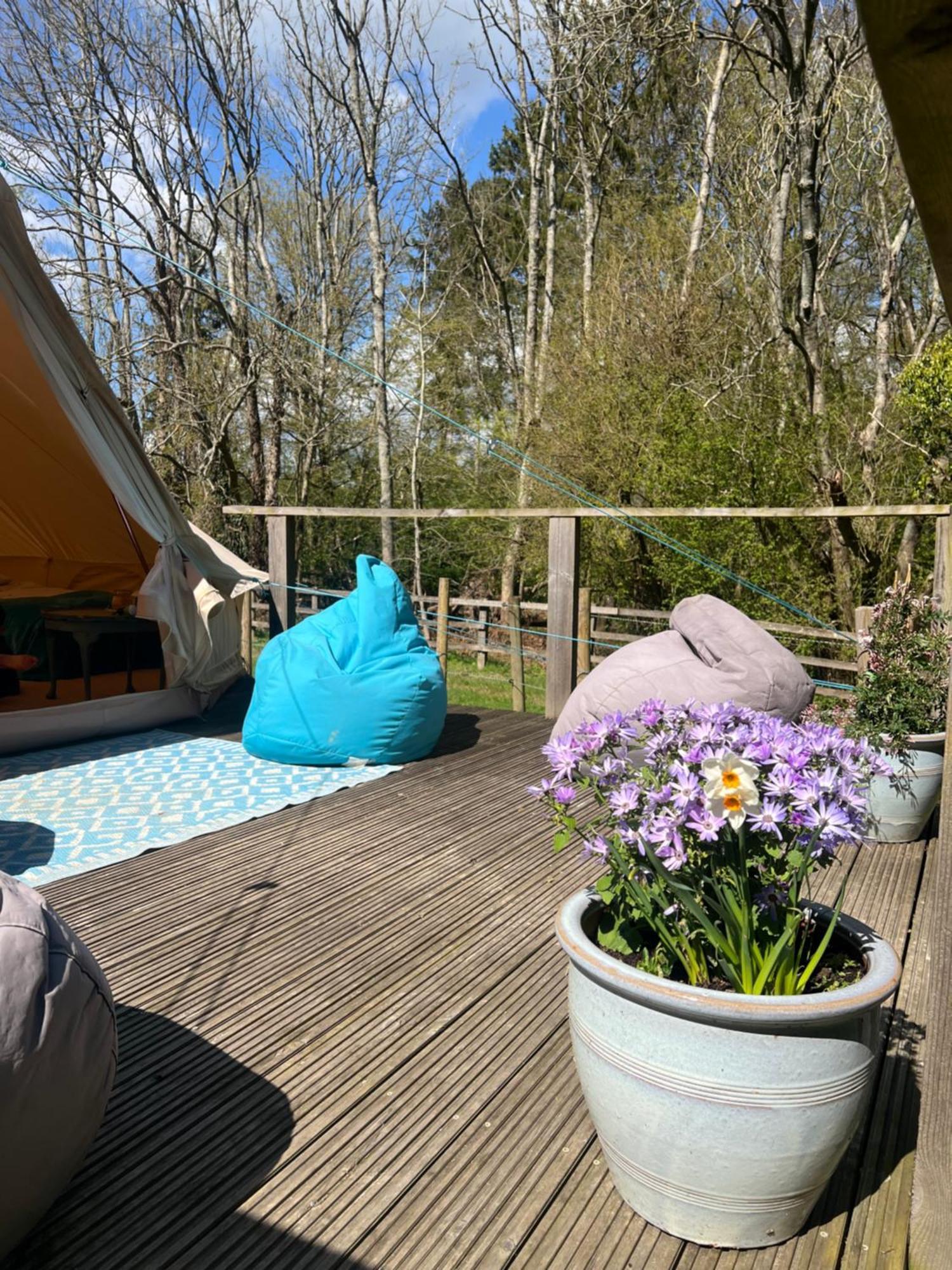 Sedlescombe Swallows Oast Glamping מראה חיצוני תמונה